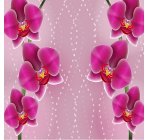Блеск орхидеи 03