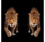 Леопард 02
