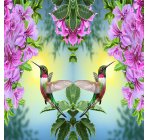 Сон колибри