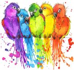 Цветные Попугаи